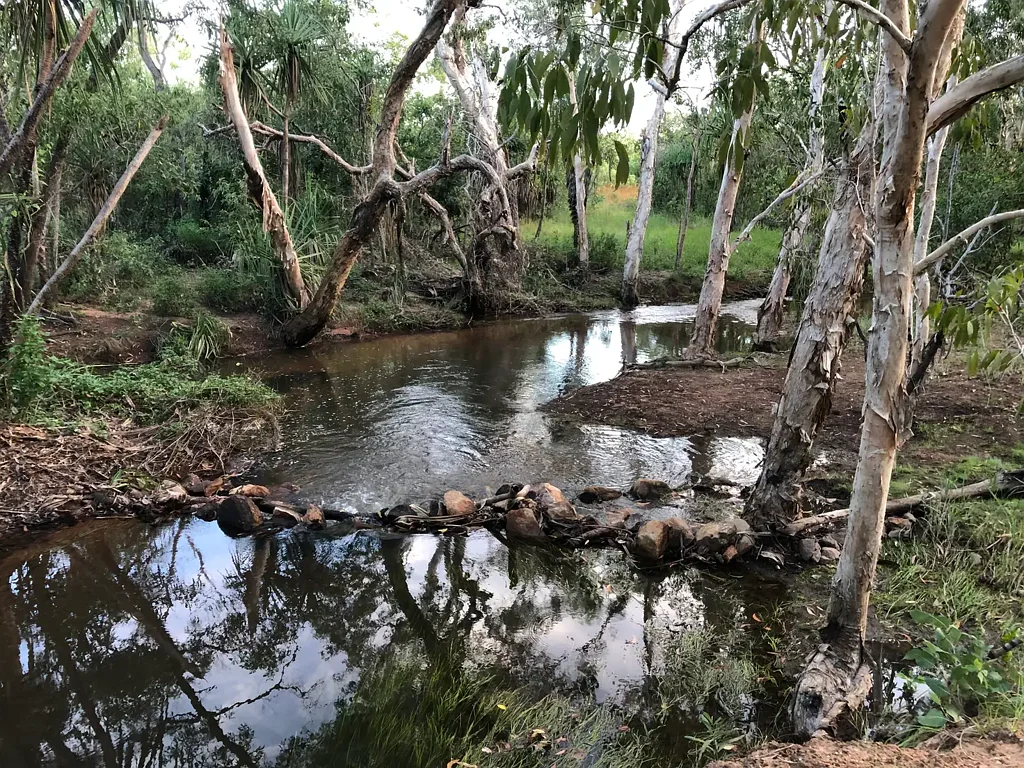 Virginia Backs Onto Wet Season Creek