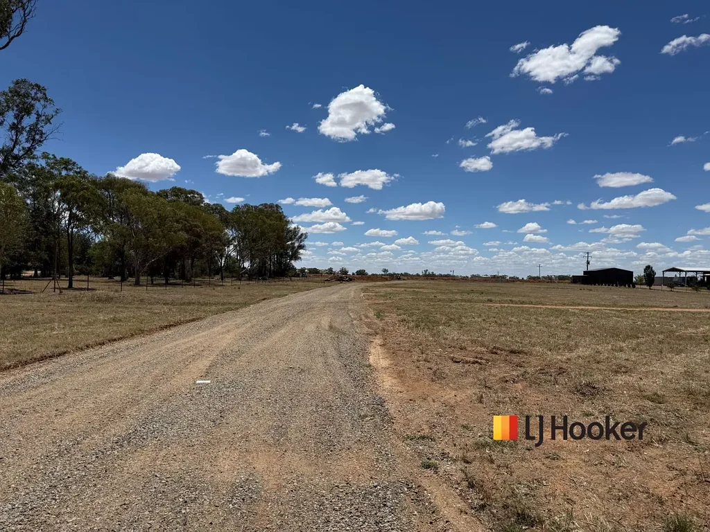 88 McNamaras Lane, Narromine, NSW 2821