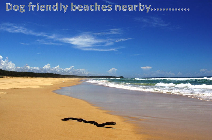 UNIT 1 1 STEELE ST, VALLA BEACH NSW 2448, 0房, 0浴, Section