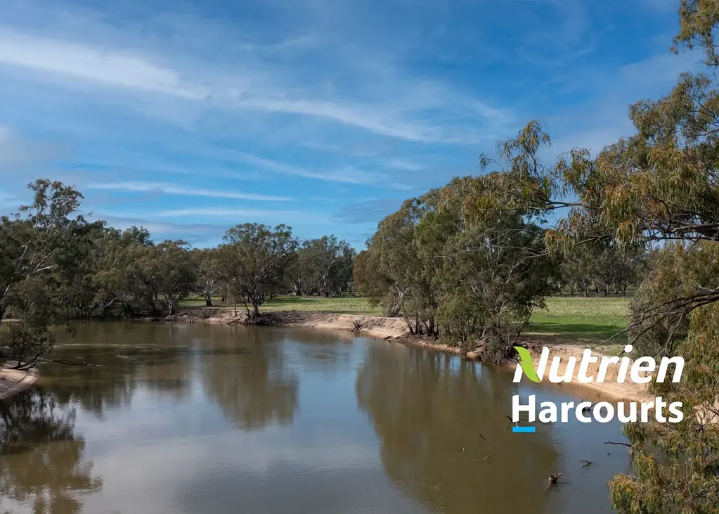 Brimin Absolute Murray River Frontage - 308ac