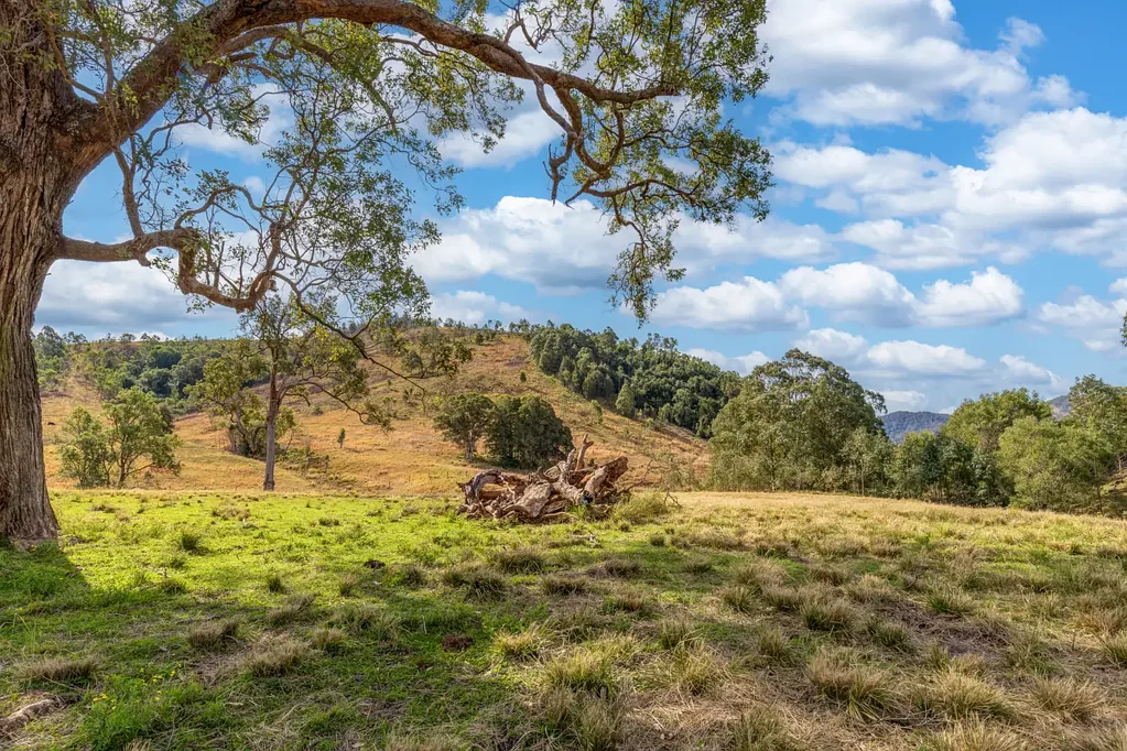 Dungog  Entry Level Grazing Opportunity