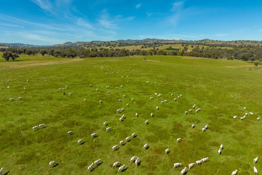 Hovells Creek 1,546AC* RELIABLE RAINFALL, MIXED FARMING & GRAZING PROPERTY