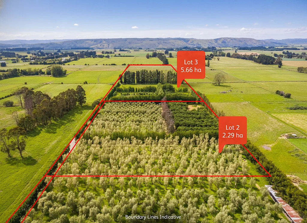Greytown Established and award-winning