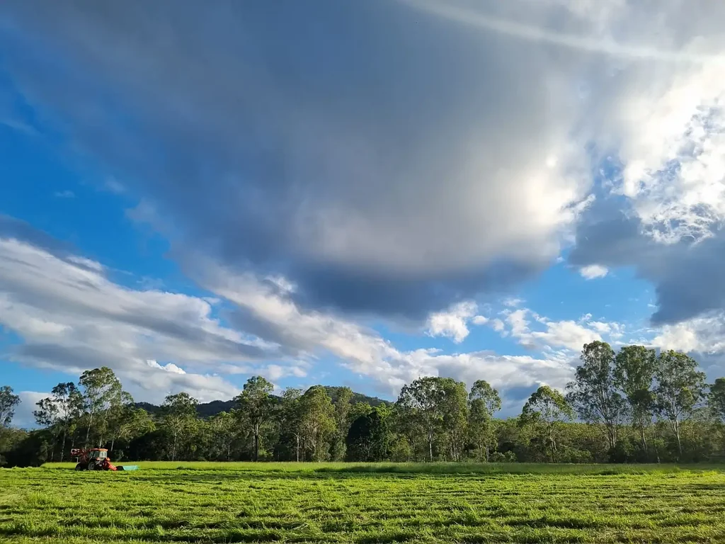 Lowmead Warro View, large scale grazing with development opportunities