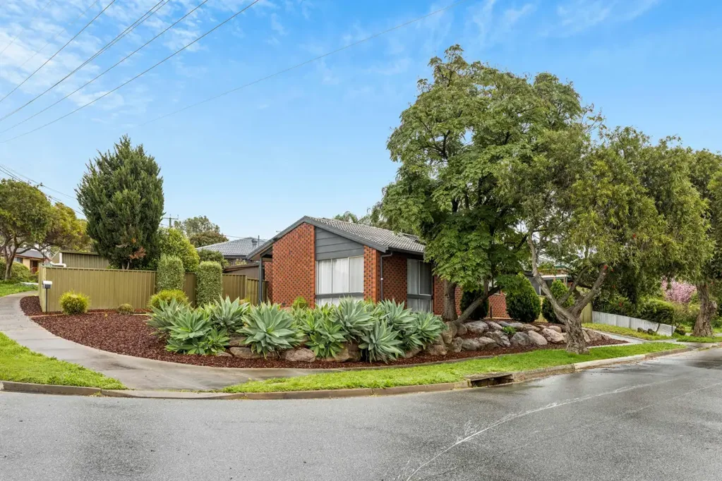 Modbury North 3房  Look no further, this is it!