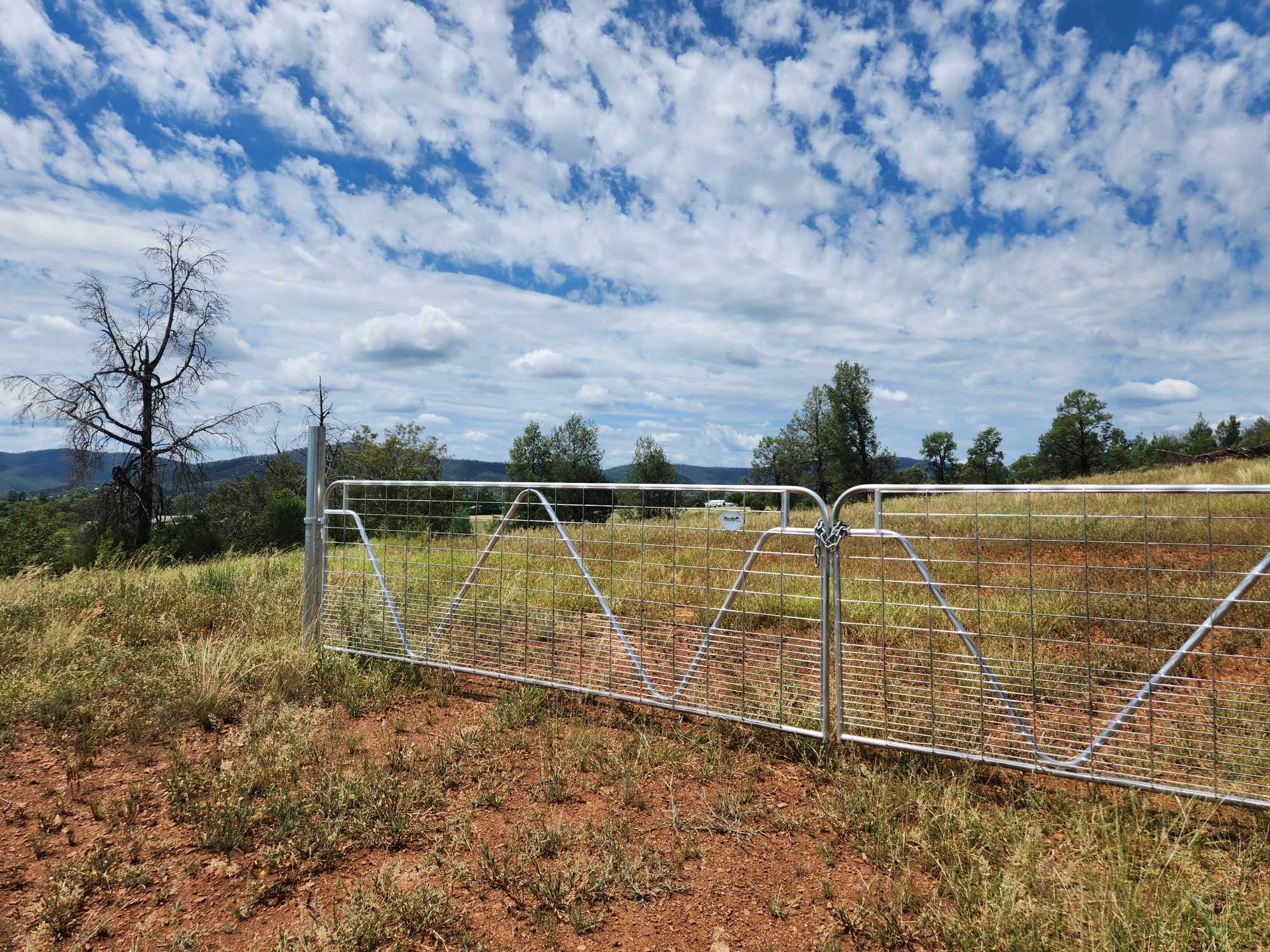 13 NARRABRI RD, BINGARA NSW 2404, 0 rūma, 0 rūma horoi, Section