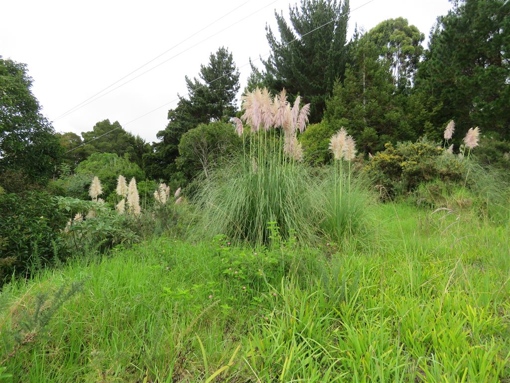 Rakautapu Road, Kohukohu, Far North, 0 chambres, 1 salles de bain