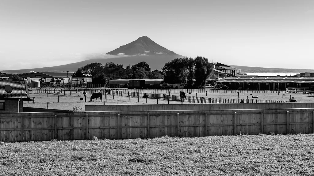 Hawera SPACE TO CREATE, ROOM TO GROW