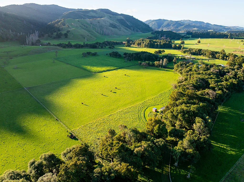 Greytown 1ਬੈੱਡਰੂਮ Lifestyle, Legacy, and Location