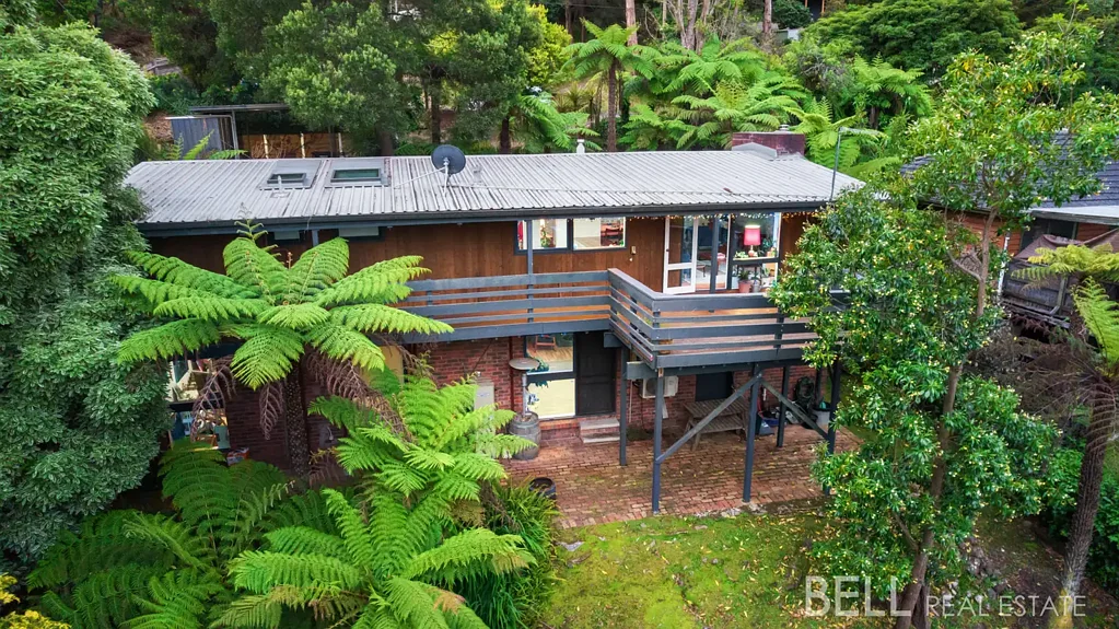 Belgrave 4 Bedroom Treetop retreat with soul, space and serious lifestyle appeal