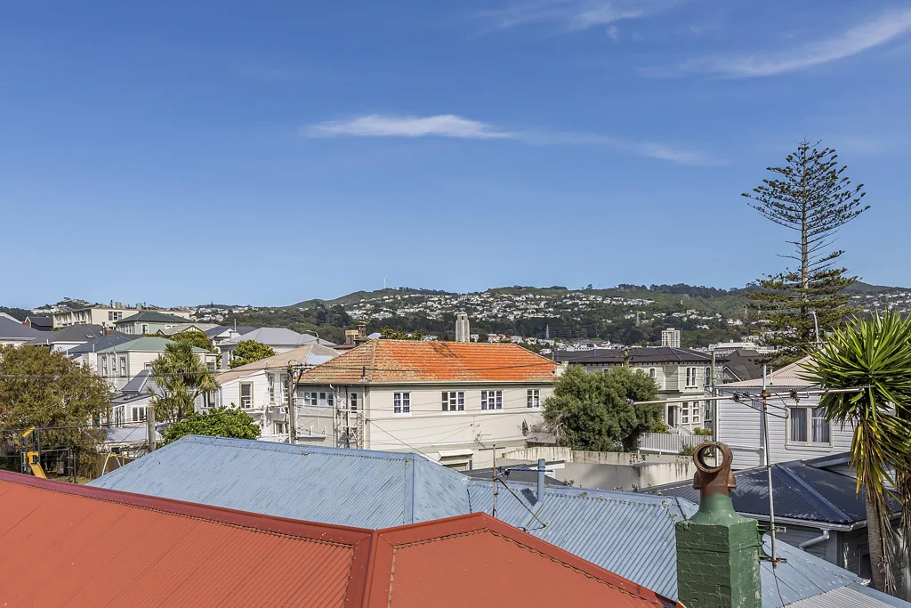 69D Elizabeth Street, Mount Victoria, Wellington City, Wellington