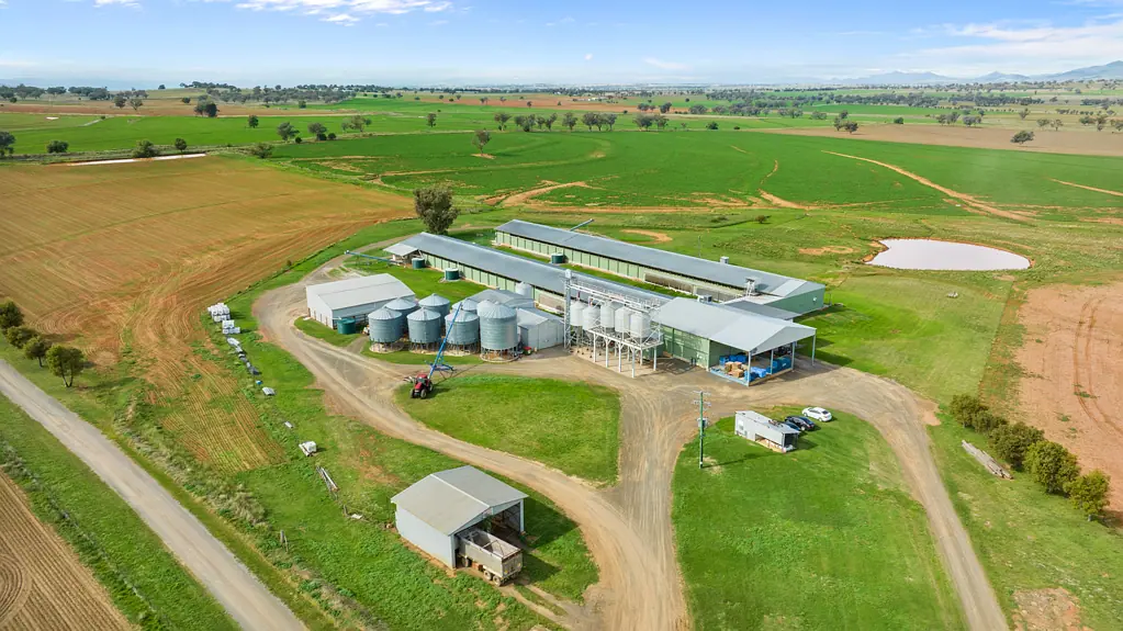 Tamworth Renowned North West NSW Commercial Egg Layer Farm
