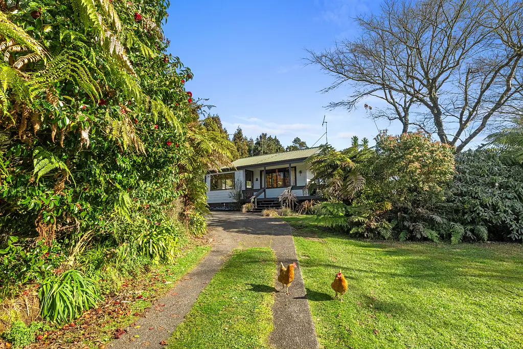 1558 Pyes Pa Road, Oropi, Western Bay of Plenty, Bay of Plenty