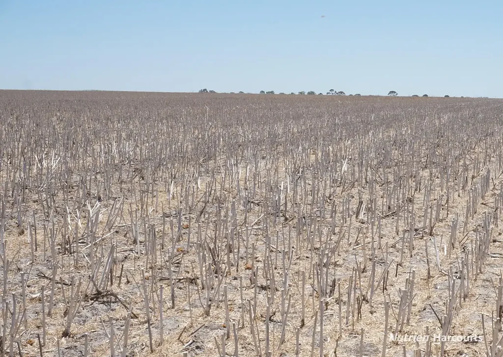 Gibson MJ's - Productive Country in a Prime Gibson Location