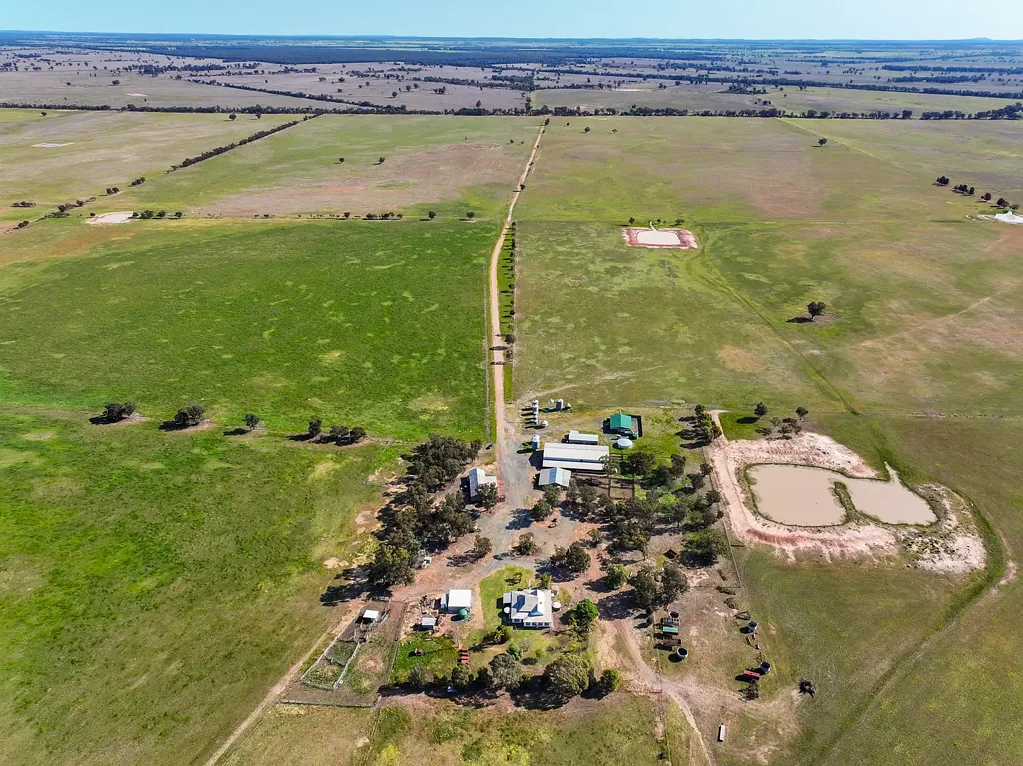 West Wyalong Regenerative Ag Opportunity
