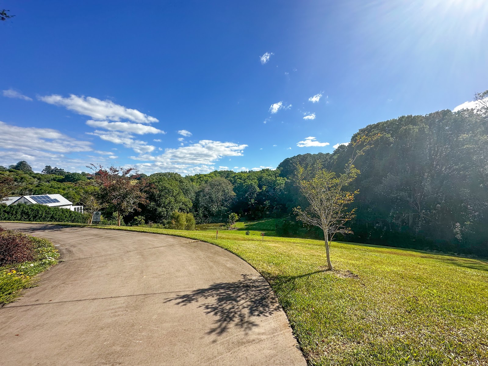 23 HAMPTONS PL, MONTVILLE QLD 4560, 0 habitaciones, 0 baños, Section