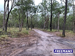 LOT 15 T H Burns Road, Ballogie