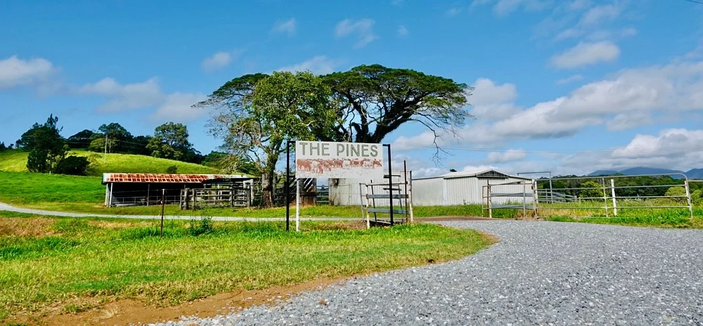 Julatten TROPICAL LIFESTYLE, ACERAGE AND INCOME.