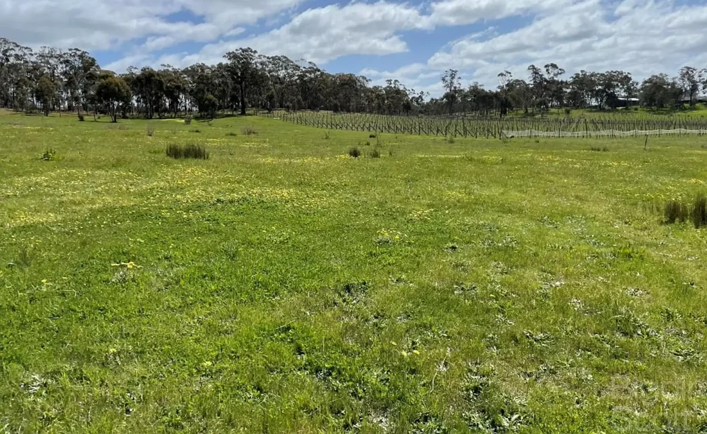 Guildford 25 Acres with Planning Permit close to Daylesford & Castlemaine