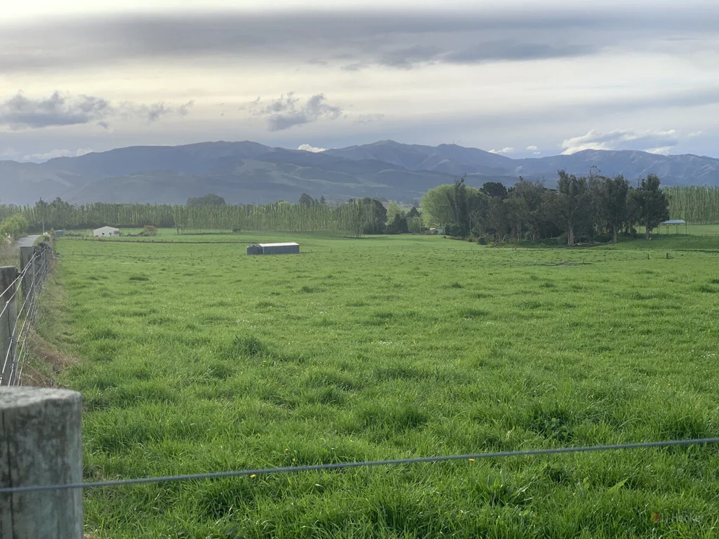 Waimate Ready to Build, Perfect to Graze