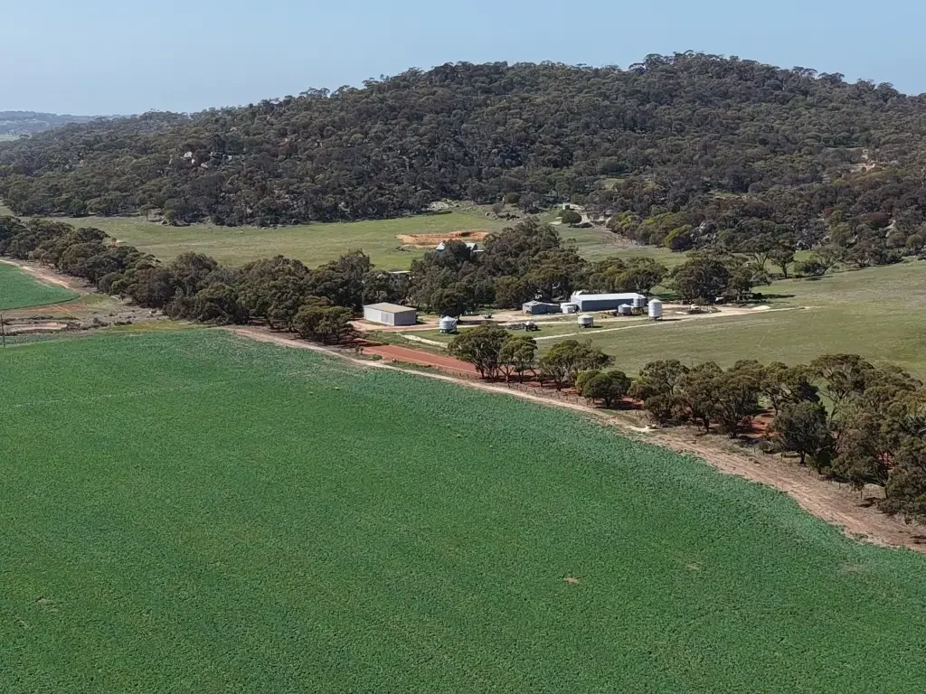 Dale Dale River Farming Opportunity                                            377ha (932acres)