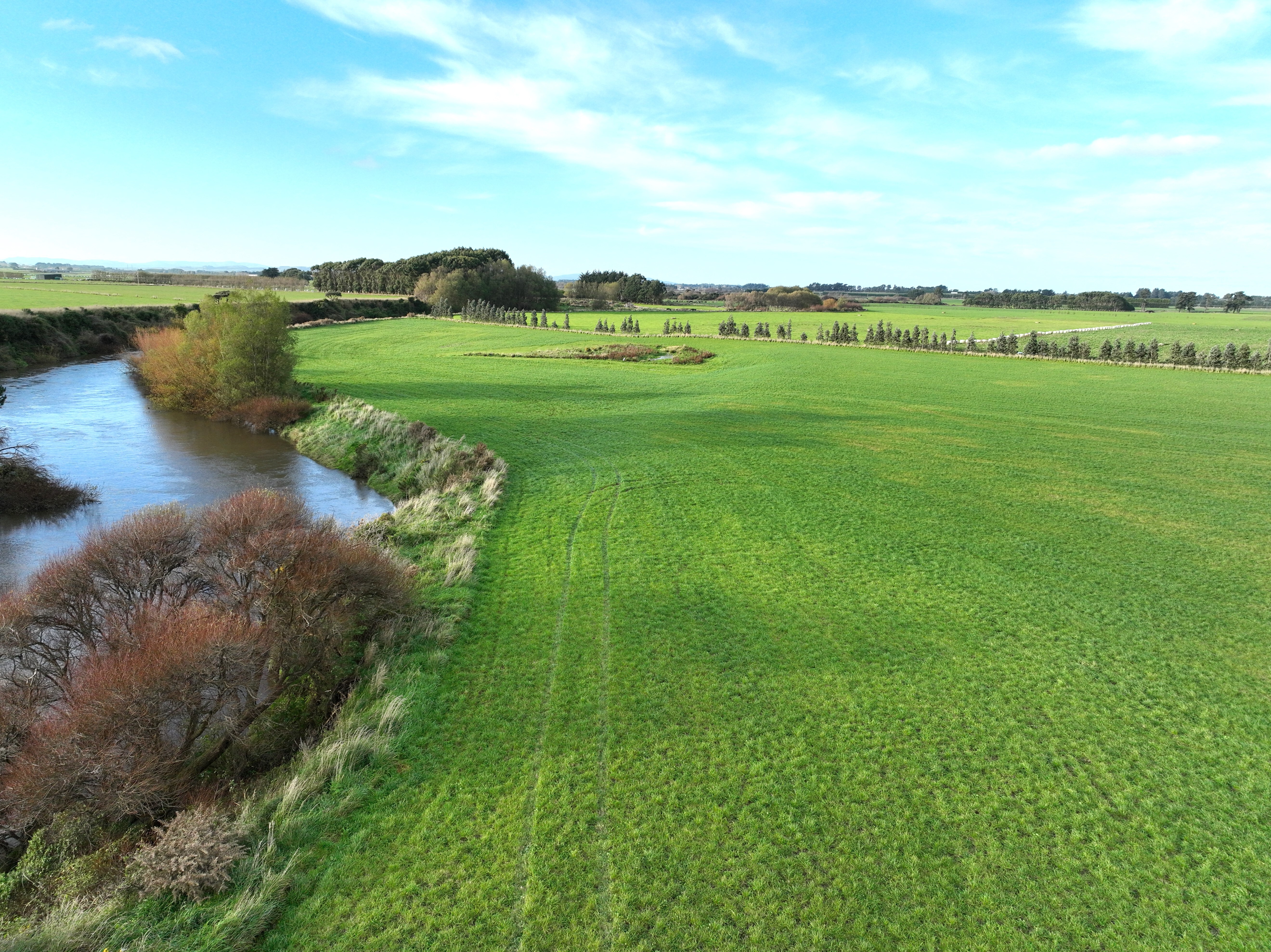 390 Wallacetown Lorneville Highway, Makarewa, Southland, 0 rūma, 1 rūma horoi, Cropping