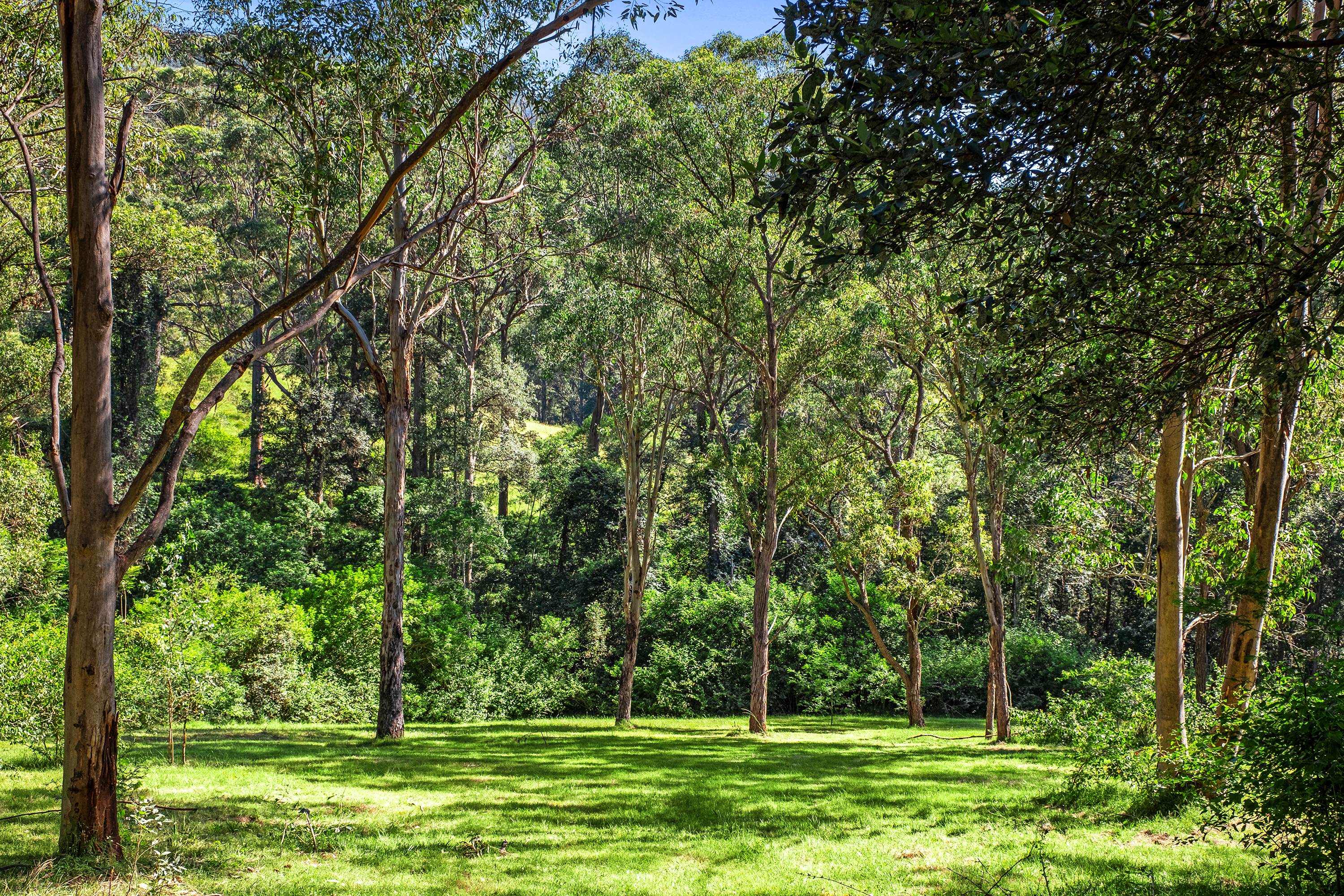 30A DOUGLAS FARM RD, KURRAJONG HILLS NSW 2758, 0房, 0浴, Section