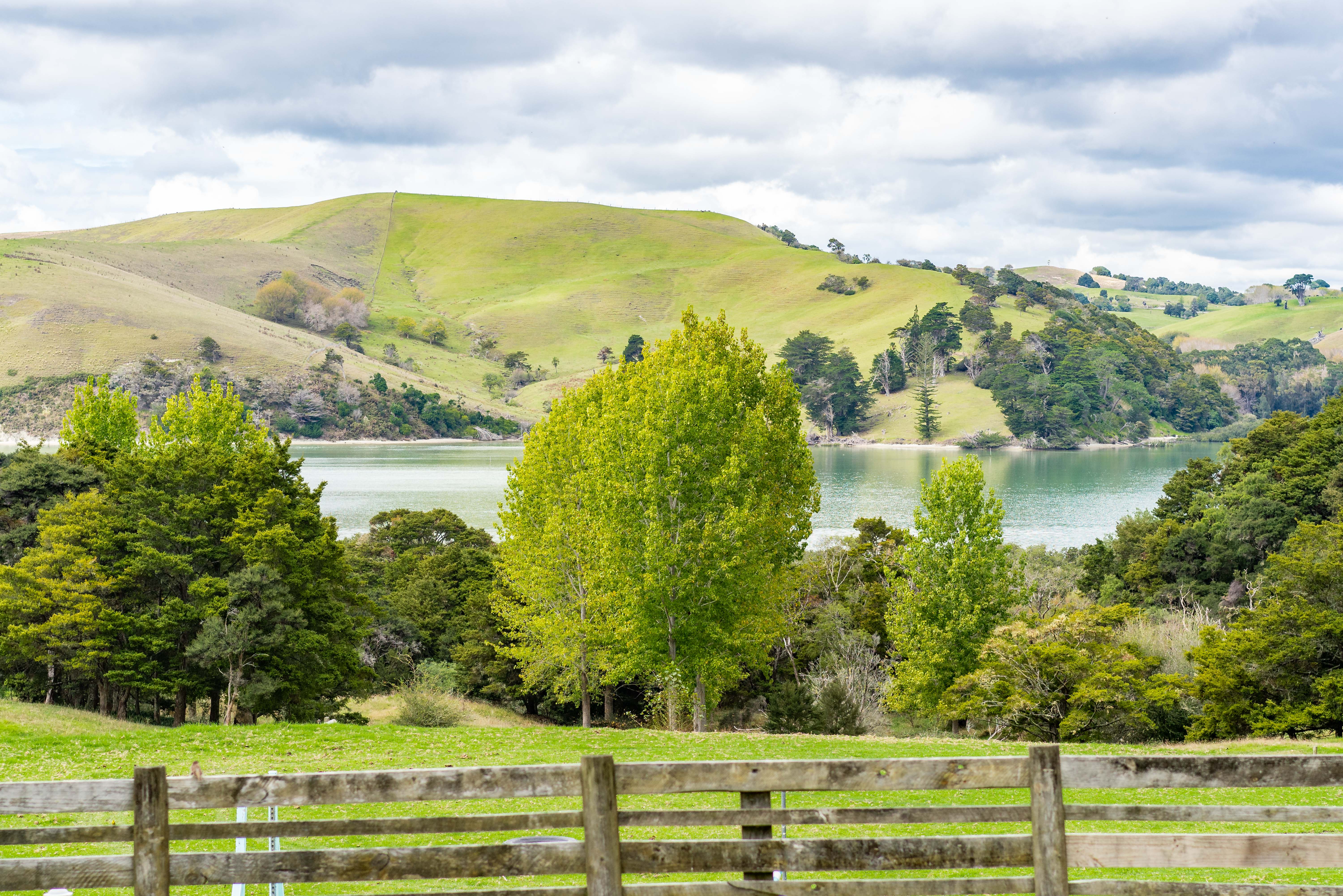 443 Pahi Road, Paparoa, Kaipara, 3房, 0浴