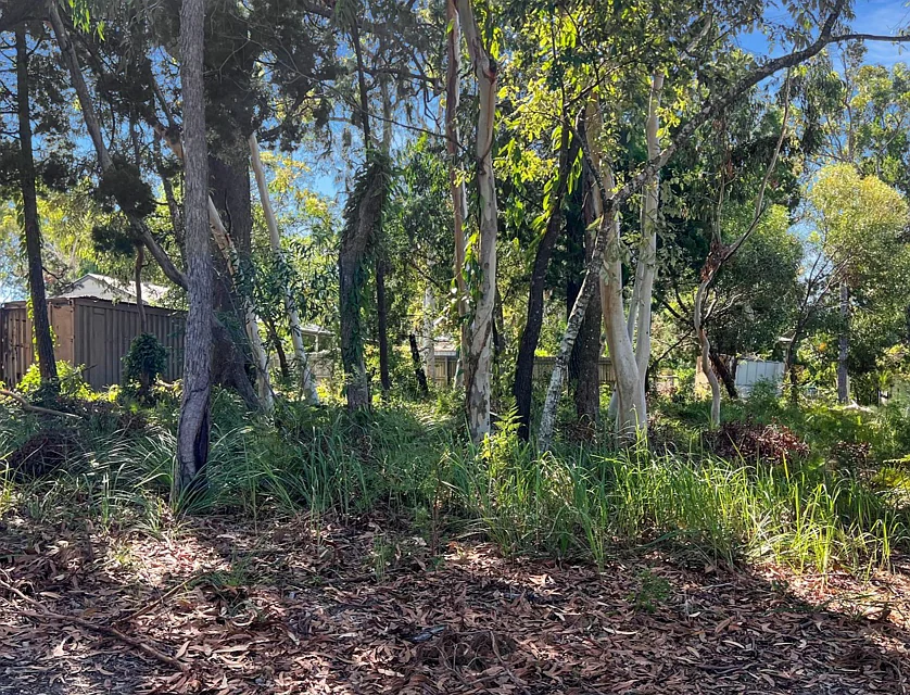 17 Morwong Street, Macleay Island, Redland City Region, 0 chambres, 0 salles de bain, Section