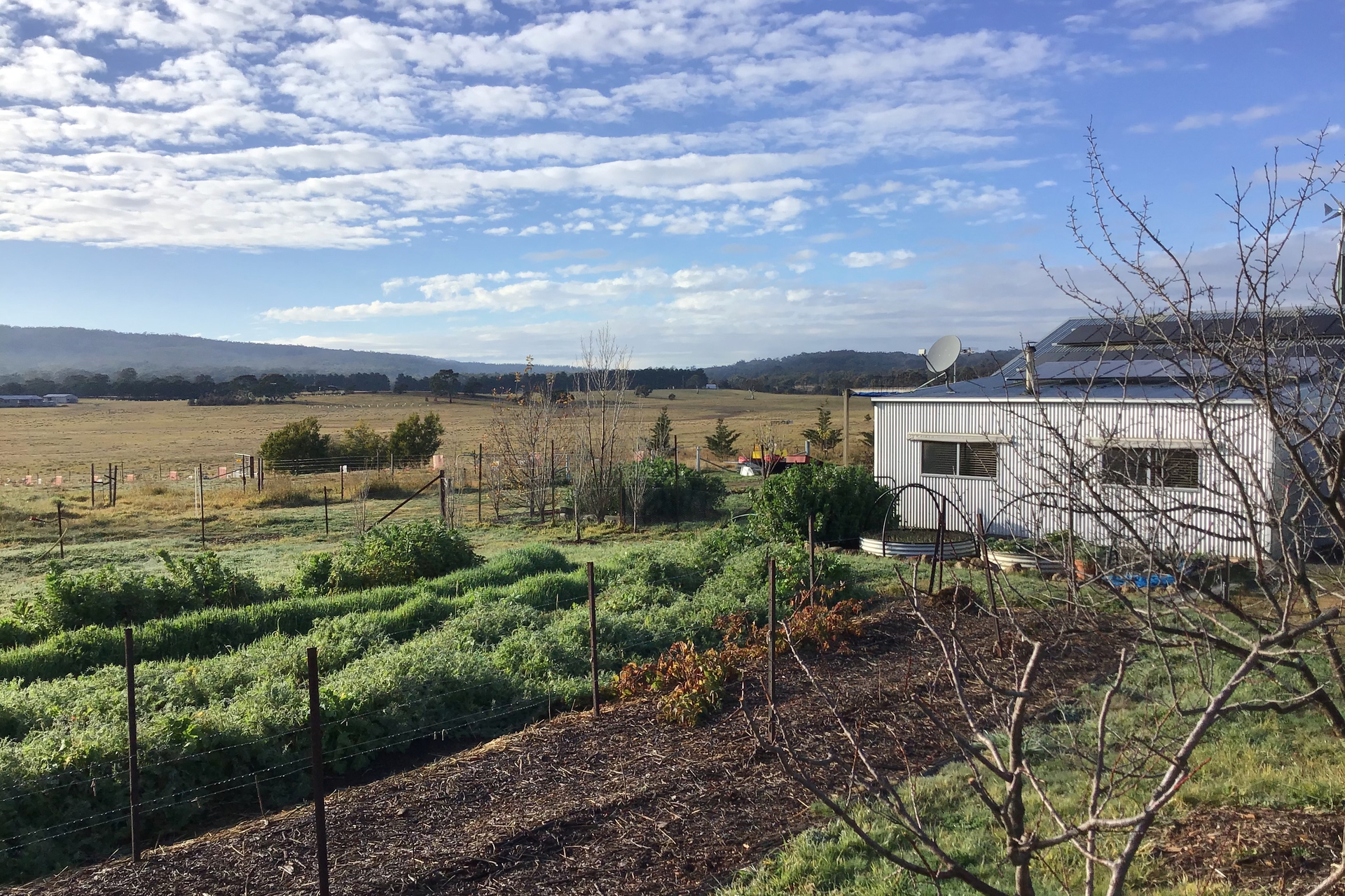 JACMARALL 34 HILLTOP CL, TARAGO NSW 2580, 0 Schlafzimmer, 0 Badezimmer, Lifestyle Property