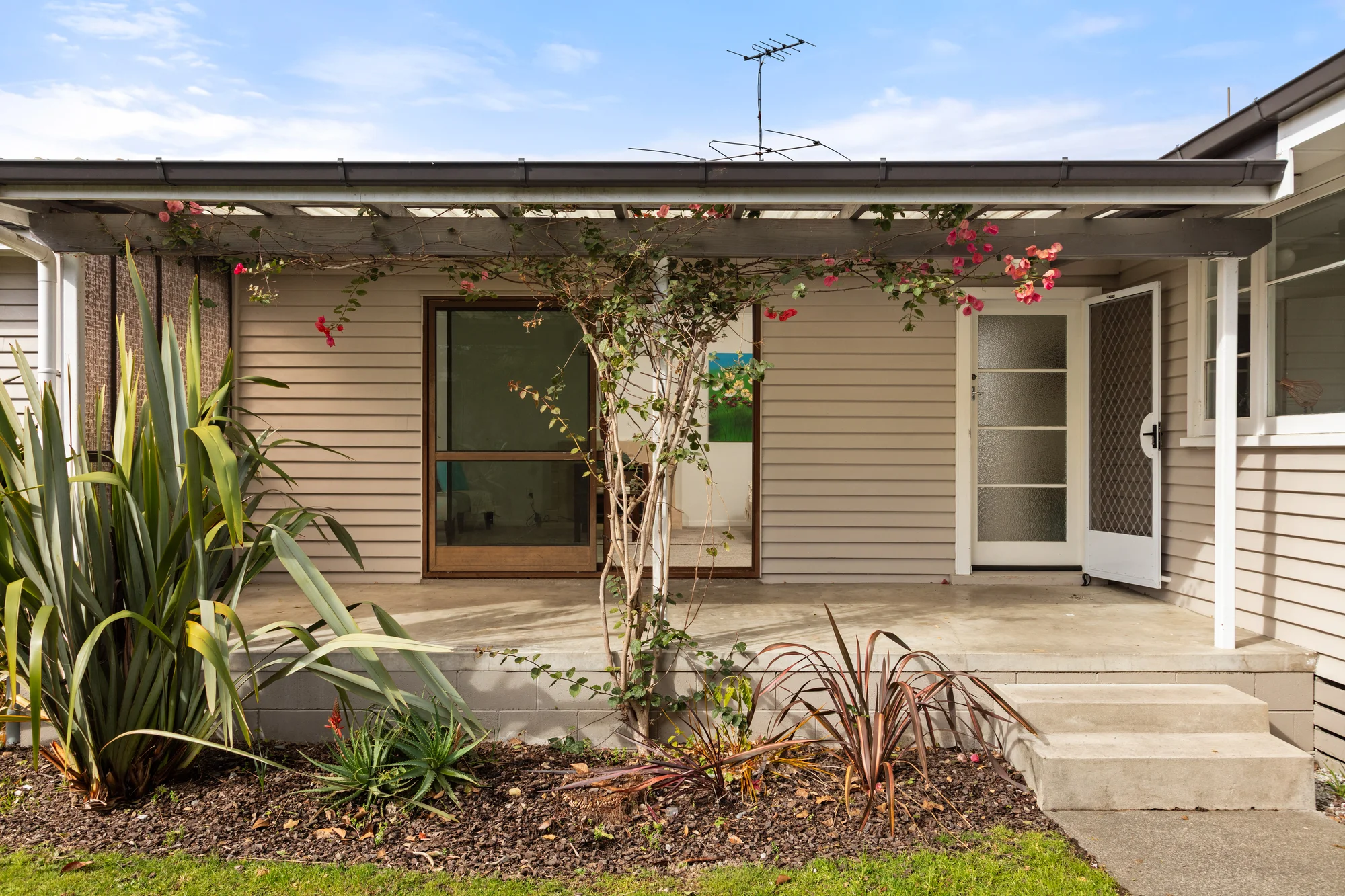 Mangapapa 3 Bedroom The perfect starter? Oak-ie dokie!