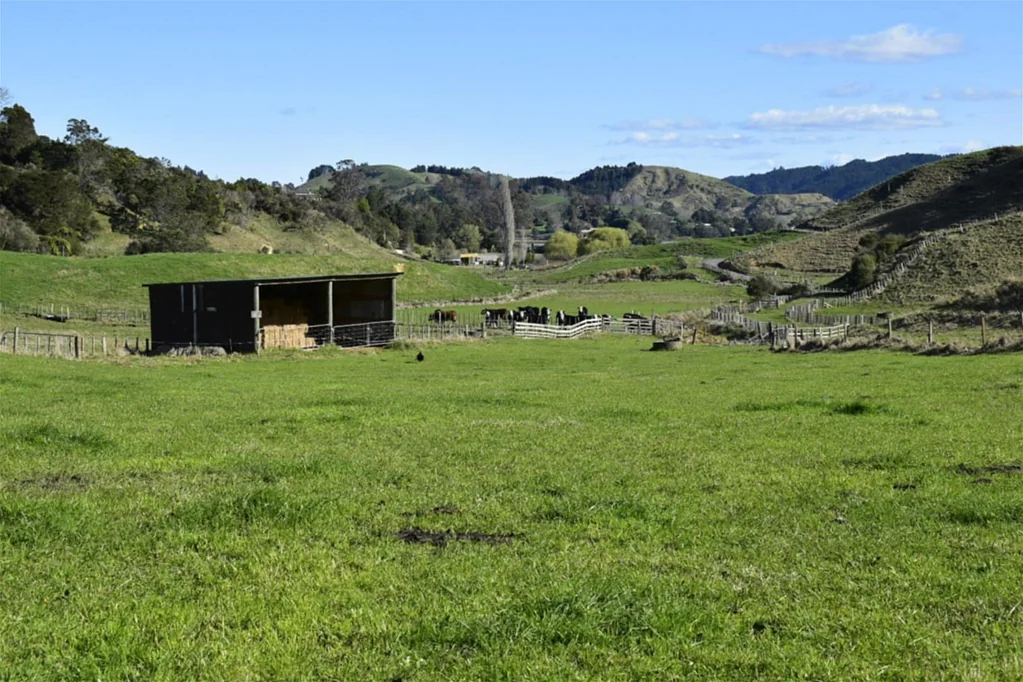 Waiotahe Affordable Ohiwa Harbour Lifestyle Block