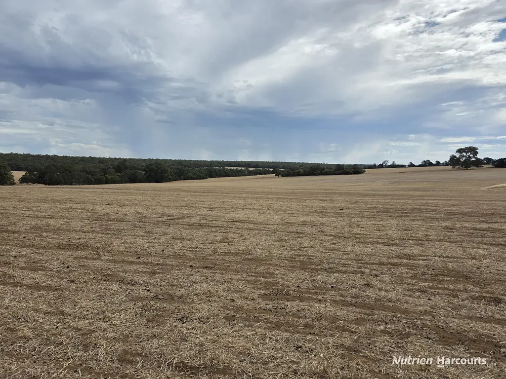 Scotts Brook  Highly Productive Property located in the South West Region