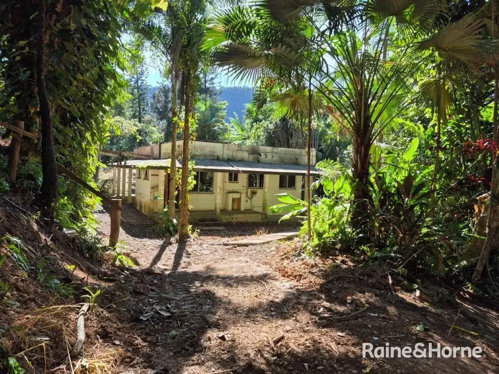 49 Ronald Road, Forest Creek, Daintree, QLD 4873