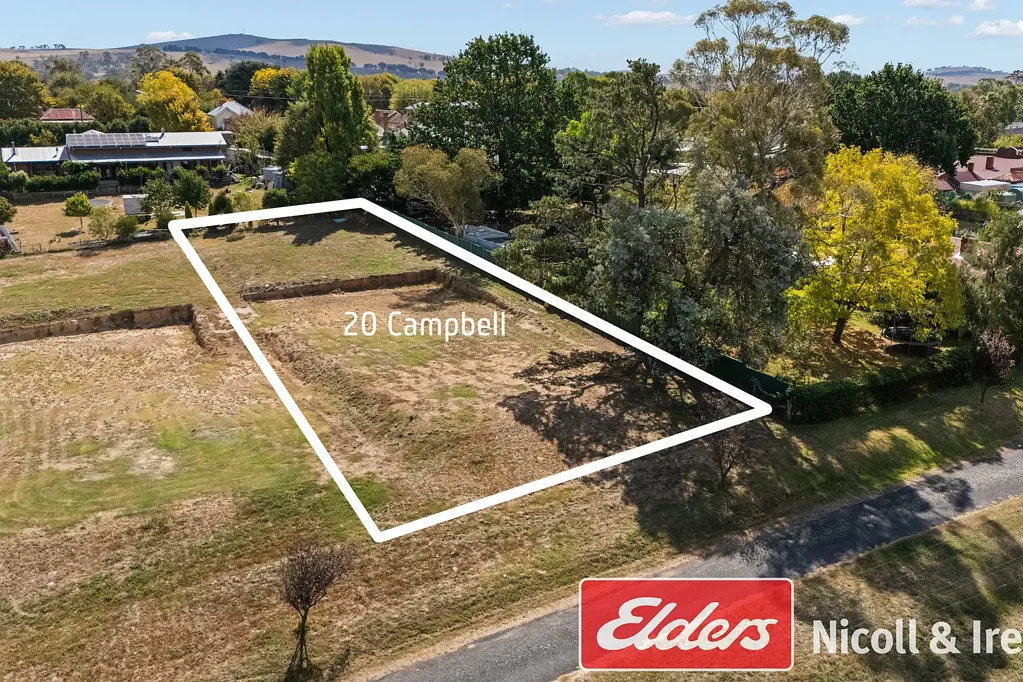 20 Campbell Street, Newbridge, NSW 2795