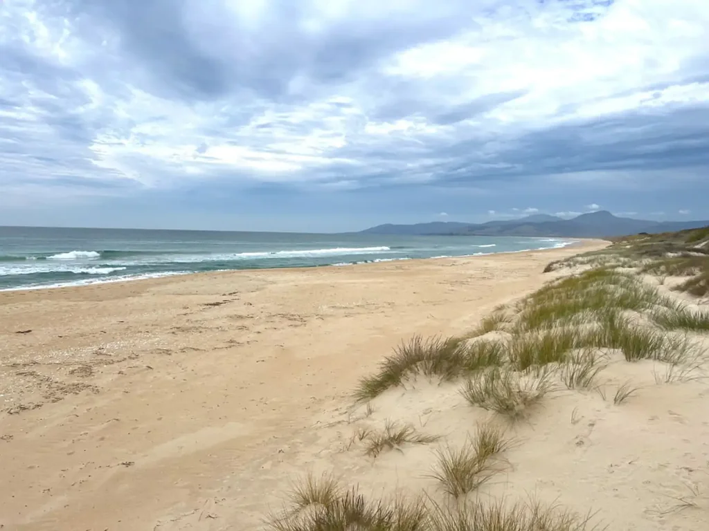 Scamander Big Beachside Block with Amenities Unit, Plumbing & Electricity.