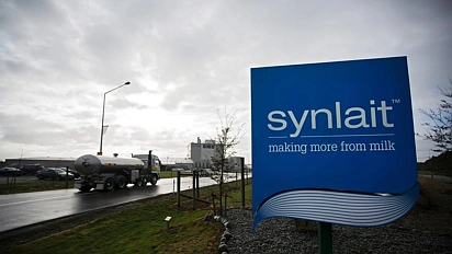 Synlait乳业亏损收窄，断臂求生！3亿纽币出售北岛资产聚焦核心业务