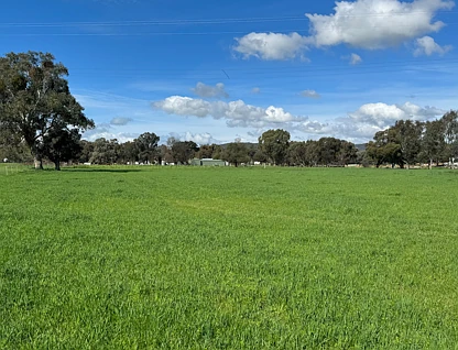 263 Hume Highway, Holbrook, Riverina, 0房, 0浴, Lifestyle Section