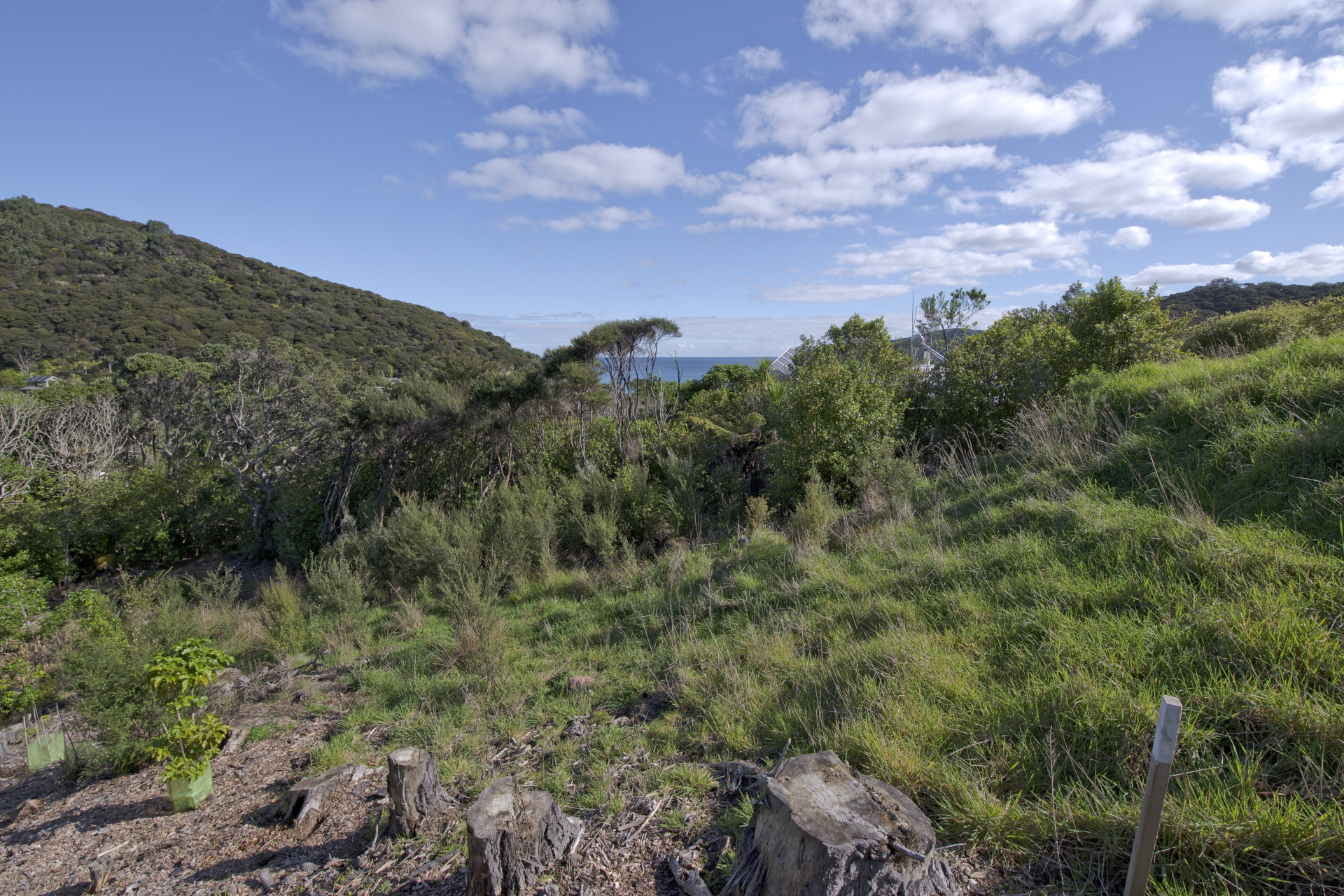 18 Rosalie Bay Road, Great Barrier Island (Aotea Island), Auckland, 0 Bedrooms, 0 Bathrooms