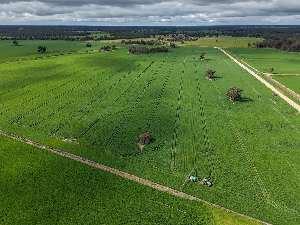 Deniliquin Cropping Opportunity with Secure Water Access