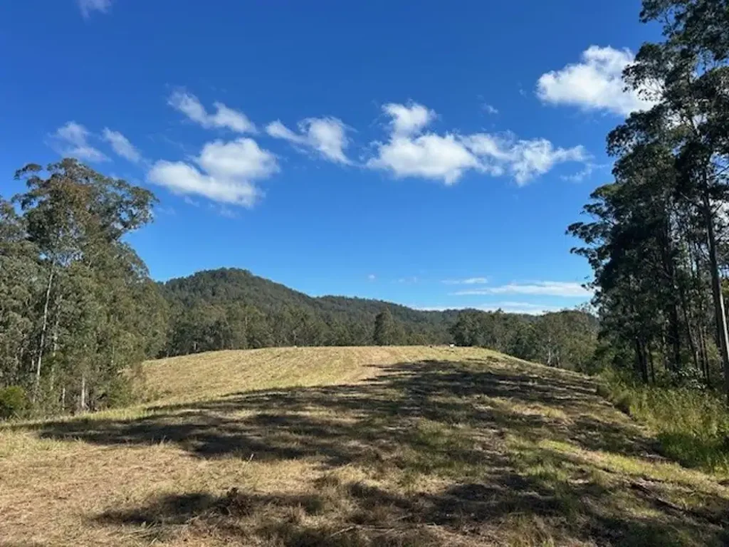 Collombatti Getting Back to Nature