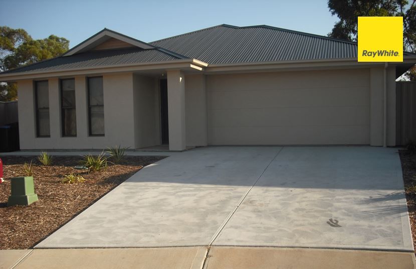 19 HENNIG ST, MURRAY BRIDGE SA 5253, 0部屋, 0バスルーム, House