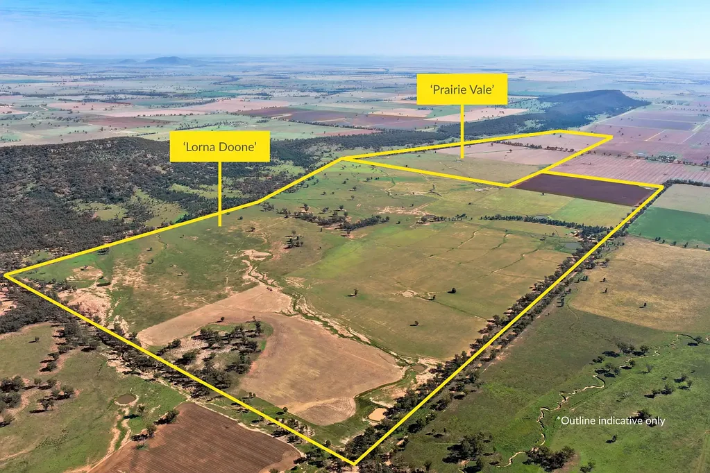 Pinnacle  Two Titles. One Opportunity. 1,257 Acres of Proven Country.