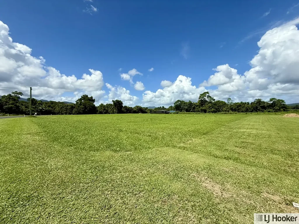 Tully  Discover Your Slice of Paradise in Tully!