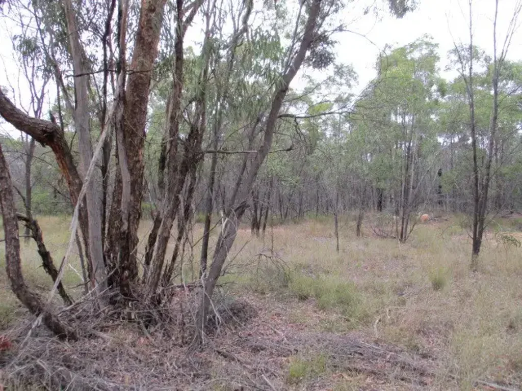 Tara  Peace and Solitude on this 32.83 acre property