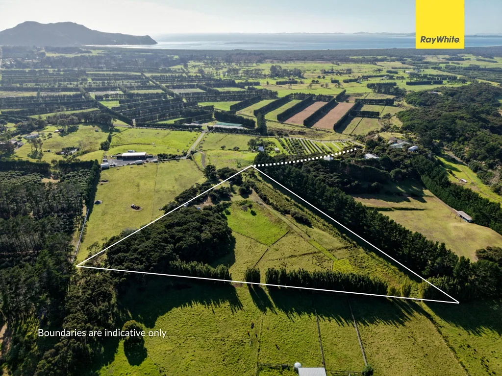 Pukenui Dare to Dream