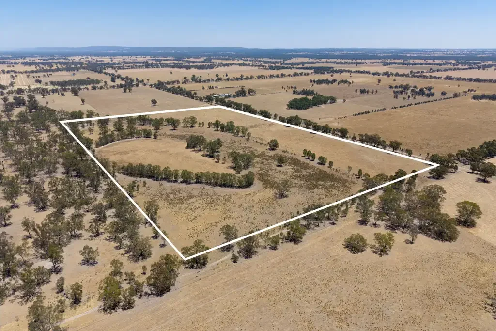 Norong Exclusive 100-Acre Land for Sale - First Time in Over 50 Years