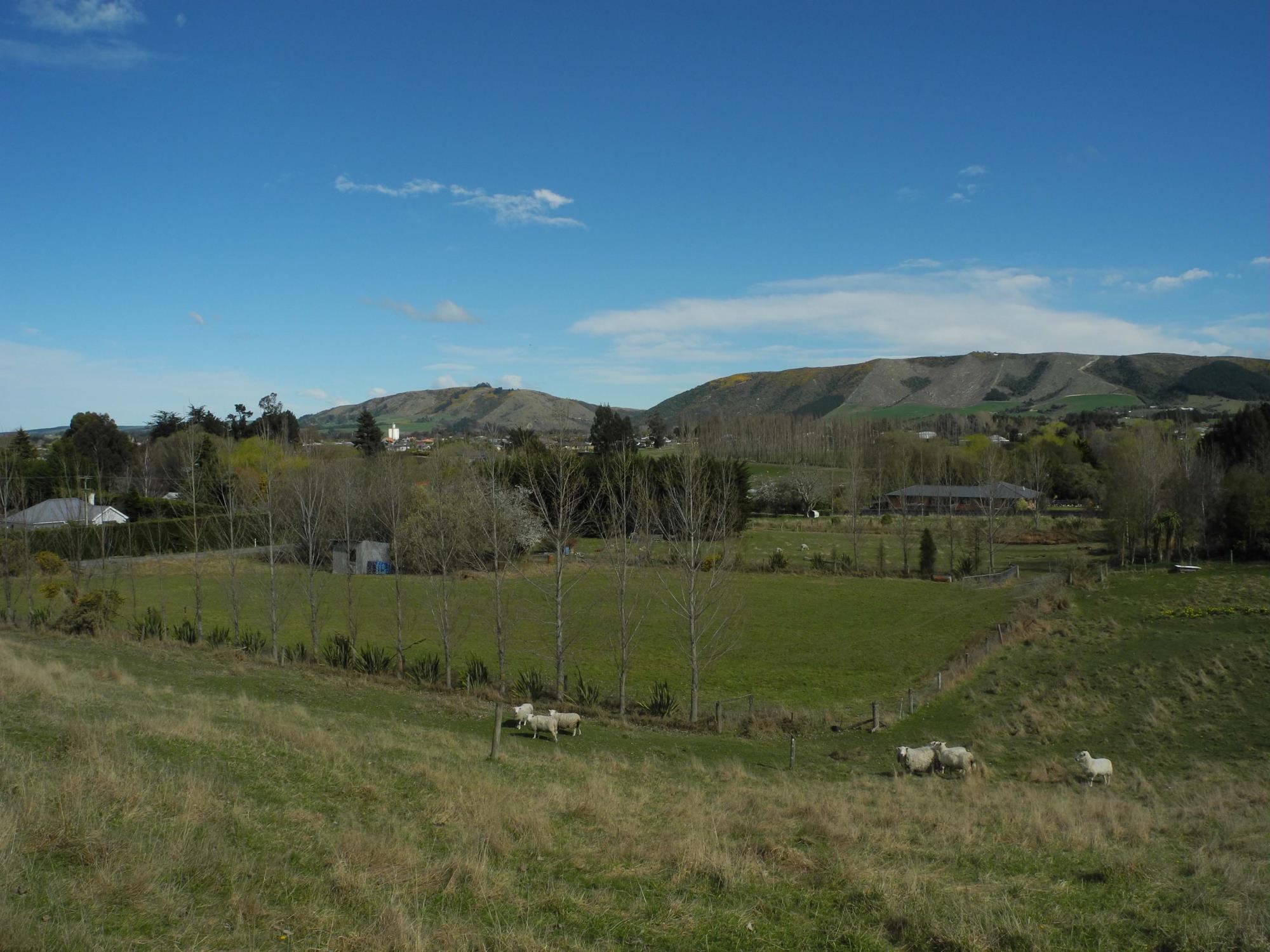 Painstown Road, Waimate, Waimate, 0 ห้องนอน, 0 ห้องน้ำ