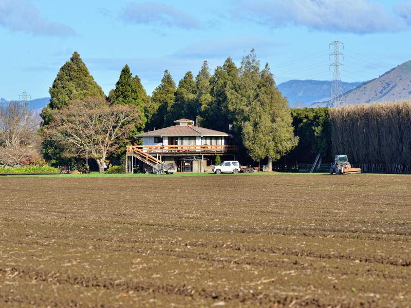 234 Bushmere Road, Hexton, Gisborne, 4房, 0浴