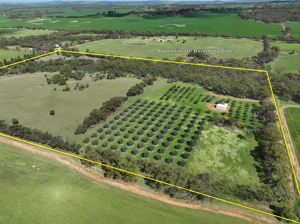 Buckland 40 Acres of Lifestyle & Agricultural Opportunity